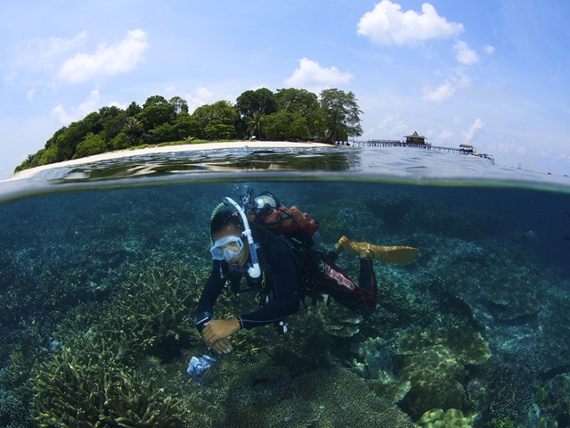 4D3N Seahorse Sipadan (DIVING)